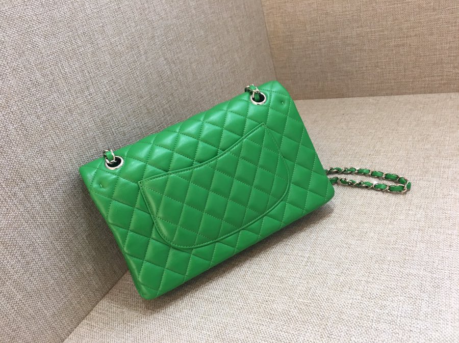 Medium Classic Flap Lambskin Bag AO1112 Green/Silver